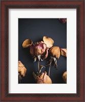 Framed Wilted Dreams II