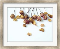 Framed Golden Petals I