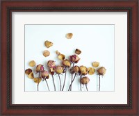 Framed Golden Petals II