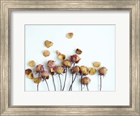 Framed Golden Petals II