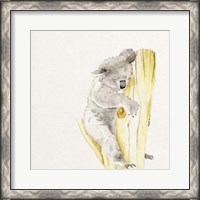 Framed Baby Koala I