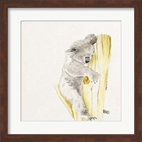 Framed Baby Koala I