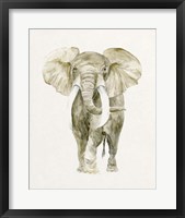 Framed Baby Elephant I