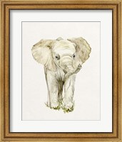 Framed Baby Elephant II