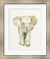 Framed Baby Elephant II