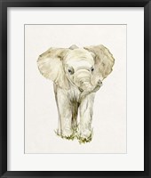 Baby Elephant II Framed Print