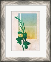 Framed Ombre Gladiolus Flowers