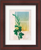 Framed Ombre Gladiolus Flowers