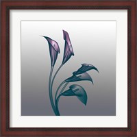 Framed Ombre Calla Lilies X-Ray