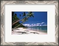 Framed Oceania, Fiji Island