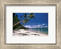 Framed Oceania, Fiji Island