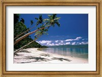 Framed Oceania, Fiji Island