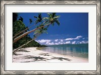 Framed Oceania, Fiji Island