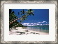 Framed Oceania, Fiji Island