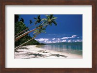 Framed Oceania, Fiji Island