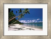 Framed Oceania, Fiji Island