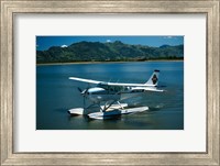 Framed Floatplane, Nadi Bay, Fiji