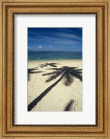 Framed Shadow of Palm Trees on Beach, Coral Coast, Fiji