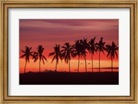 Framed Palm Trees and Sunset, Queens Road, Fiji