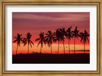 Framed Palm Trees and Sunset, Queens Road, Fiji