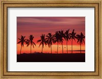 Framed Palm Trees and Sunset, Queens Road, Fiji