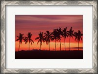 Framed Palm Trees and Sunset, Queens Road, Fiji