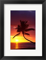 Framed Sunset and Palm Trees, Coral Coast, Viti Levu, Fiji