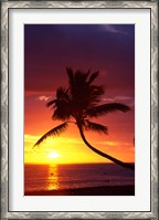 Framed Sunset and Palm Trees, Coral Coast, Viti Levu, Fiji