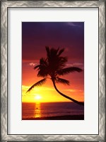 Framed Sunset and Palm Trees, Coral Coast, Viti Levu, Fiji