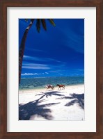 Framed Palm Trees and Horses, Tambua Sands, Coral Coast, Fiji