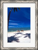 Framed Palm Trees and Horses, Tambua Sands, Coral Coast, Fiji