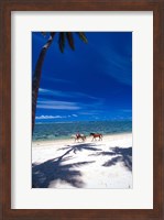 Framed Palm Trees and Horses, Tambua Sands, Coral Coast, Fiji