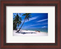 Framed Girl on Beach and Coconut Palm Trees, Tambua Sands Resort, Fiji