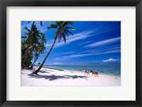 Framed Girl on Beach and Coconut Palm Trees, Tambua Sands Resort, Fiji