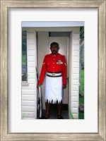 Framed Guard, Former Government House, Suva, Fiji