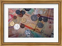 Framed Fiji Currency