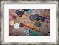 Framed Fiji Currency