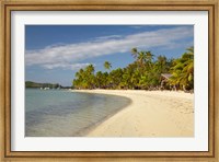 Framed Beach and palm trees,  Malolo Lailai Island, Mamanuca Islands, Fiji