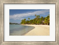 Framed Beach and palm trees,  Malolo Lailai Island, Mamanuca Islands, Fiji