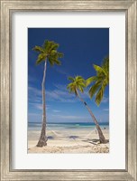 Framed Hammock and palm trees, Plantation Island Resort, Malolo Lailai Island, Mamanuca Islands, Fiji
