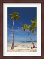 Framed Hammock and palm trees, Plantation Island Resort, Malolo Lailai Island, Mamanuca Islands, Fiji