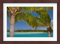 Framed Palm trees and lagoon entrance, Musket Cove Island Resort, Malolo Lailai Island, Mamanuca Islands, Fiji