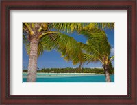 Framed Palm trees and lagoon entrance, Musket Cove Island Resort, Malolo Lailai Island, Mamanuca Islands, Fiji