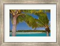 Framed Palm trees and lagoon entrance, Musket Cove Island Resort, Malolo Lailai Island, Mamanuca Islands, Fiji