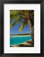 Framed Palm trees and lagoon entrance, Musket Cove Island Resort, Fiji