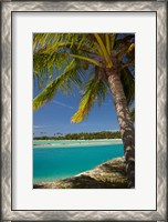 Framed Palm trees and lagoon entrance, Musket Cove Island Resort, Fiji
