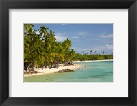 Framed Beach, palm trees and beachfront bures, Plantation Island Resort, Malolo Lailai Island, Mamanuca Islands, Fiji