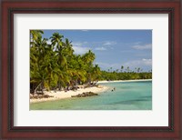 Framed Beach, palm trees and beachfront bures, Plantation Island Resort, Malolo Lailai Island, Mamanuca Islands, Fiji