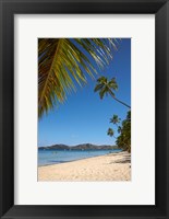 Framed Beach and palm trees, Plantation Island Resort, Malolo Lailai Island, Mamanuca Islands, Fiji