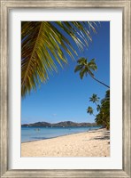 Framed Beach and palm trees, Plantation Island Resort, Malolo Lailai Island, Mamanuca Islands, Fiji